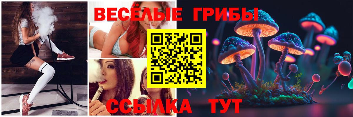 Галлюциногенные грибы прущие грибы  Вход с VPN  Заводоуковск  Псилоцибиновые грибы ЛСД 